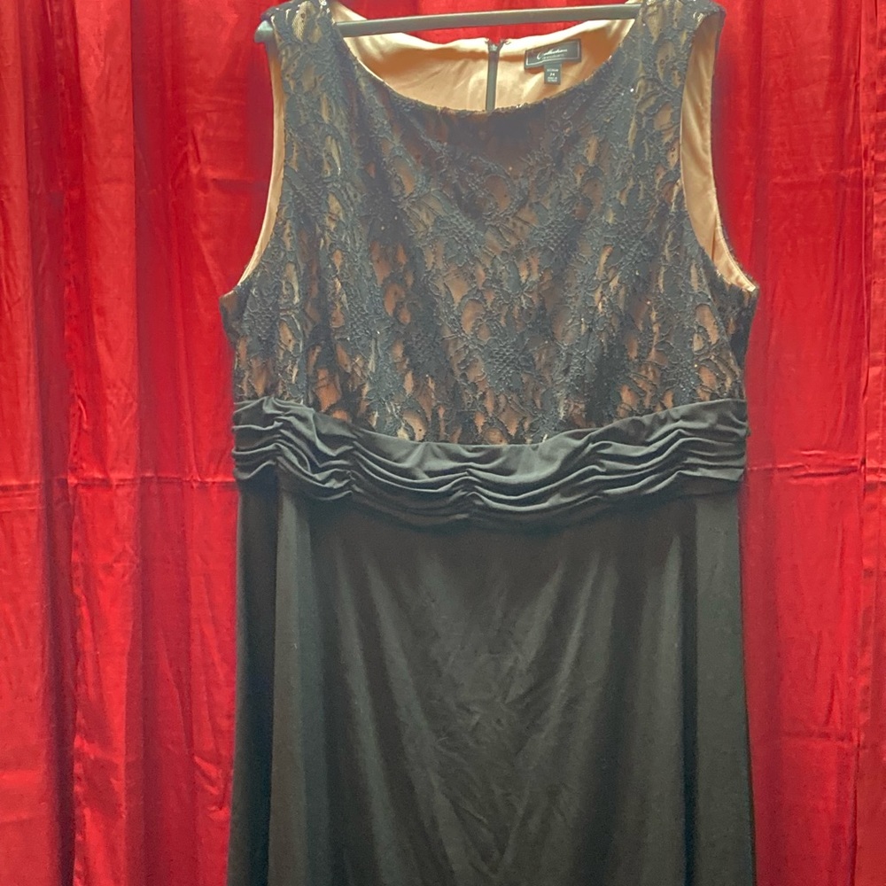 Collection Dressbarn Size 24 Black Embellished Lace Dress